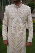 Jodhpuri sherwani. Code S108