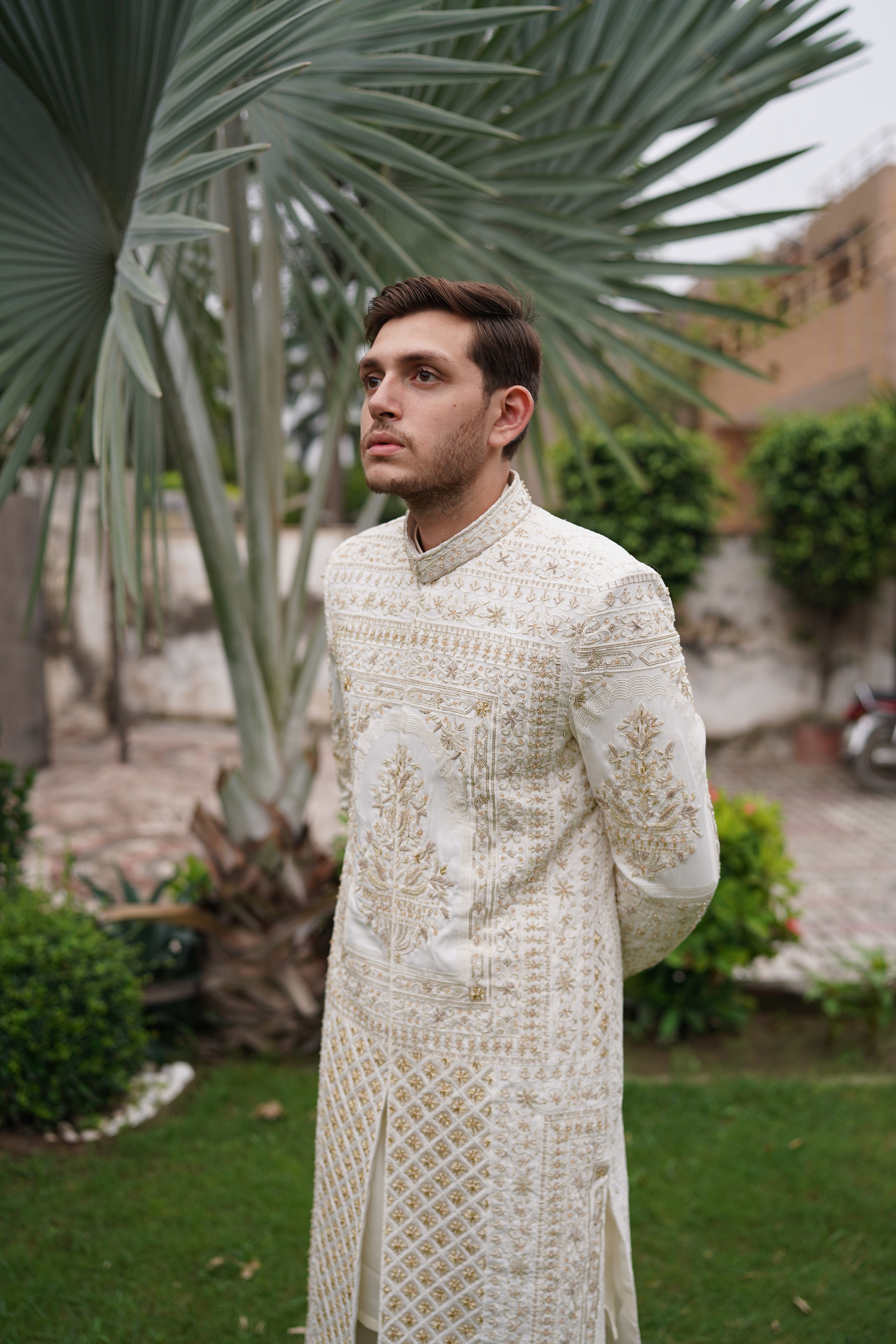 Jodhpuri sherwani. Code S108
