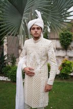Jodhpuri sherwani. Code S108